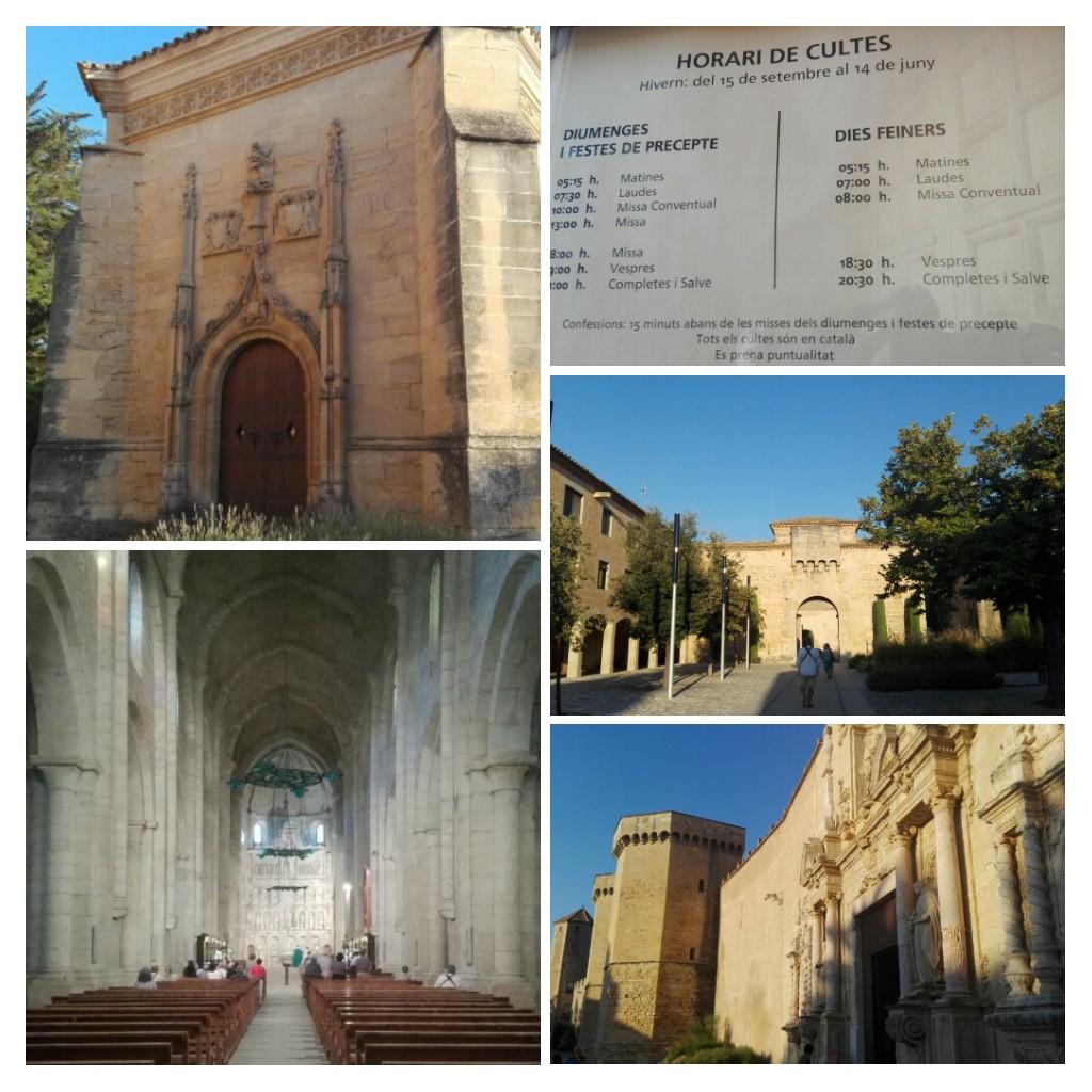 20170206_235501-collage