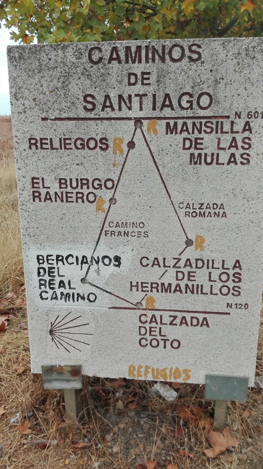 copia-de-img-20161019-wa0012