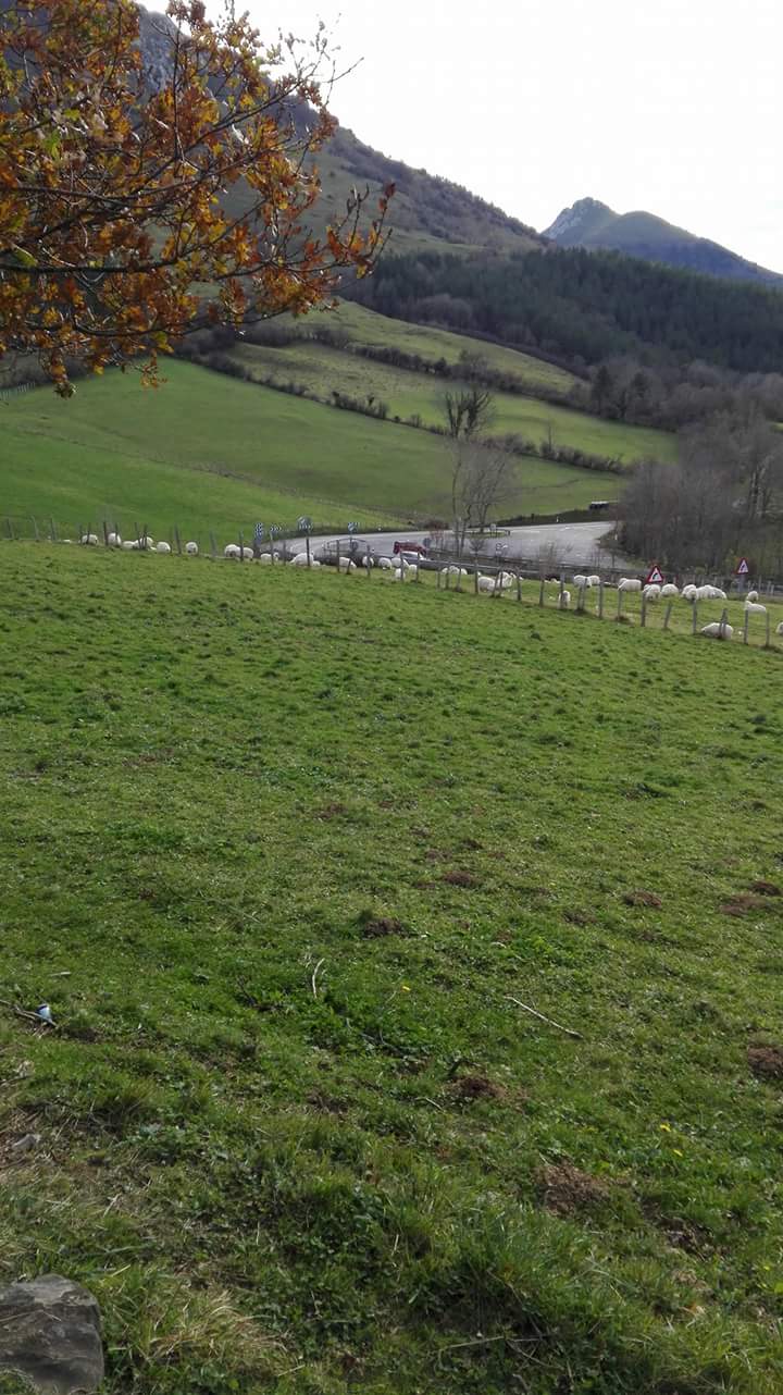 _facebook_1481407717000