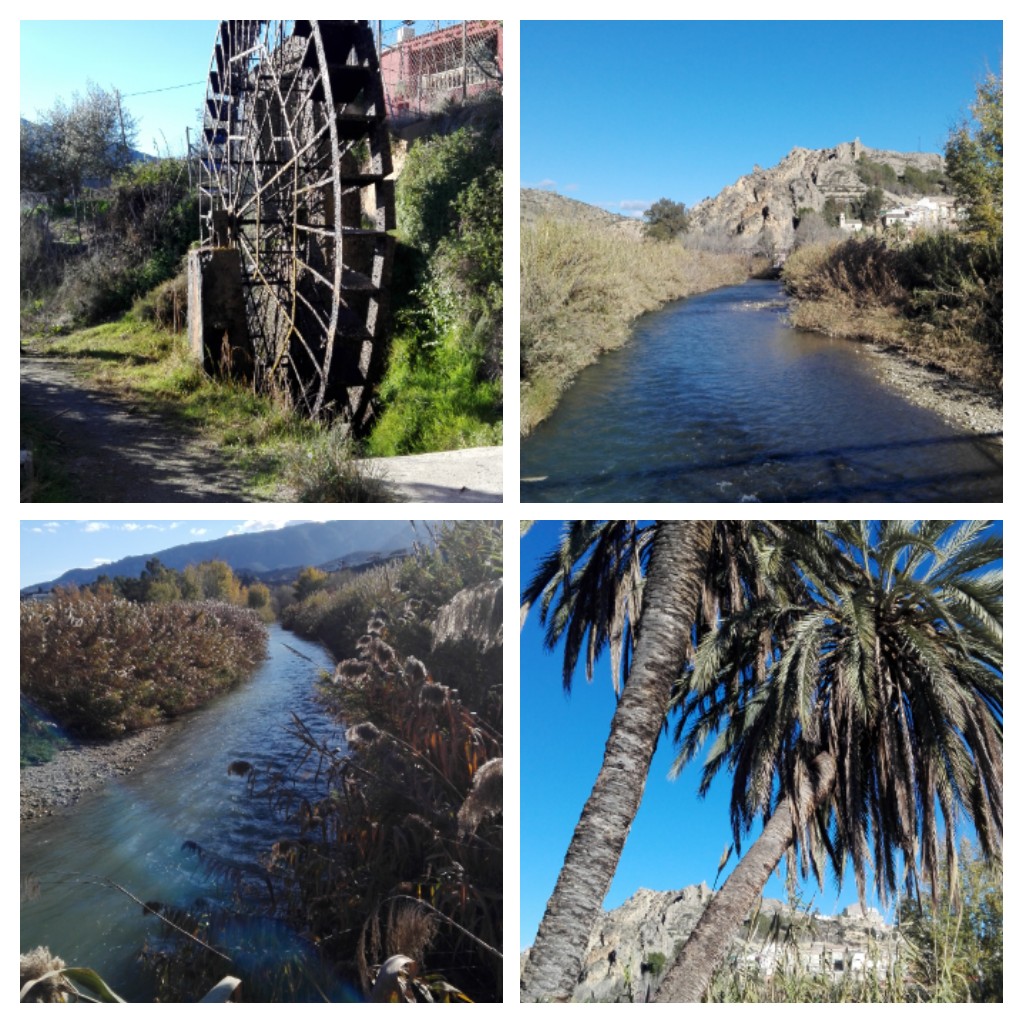 20170129_183841-collage