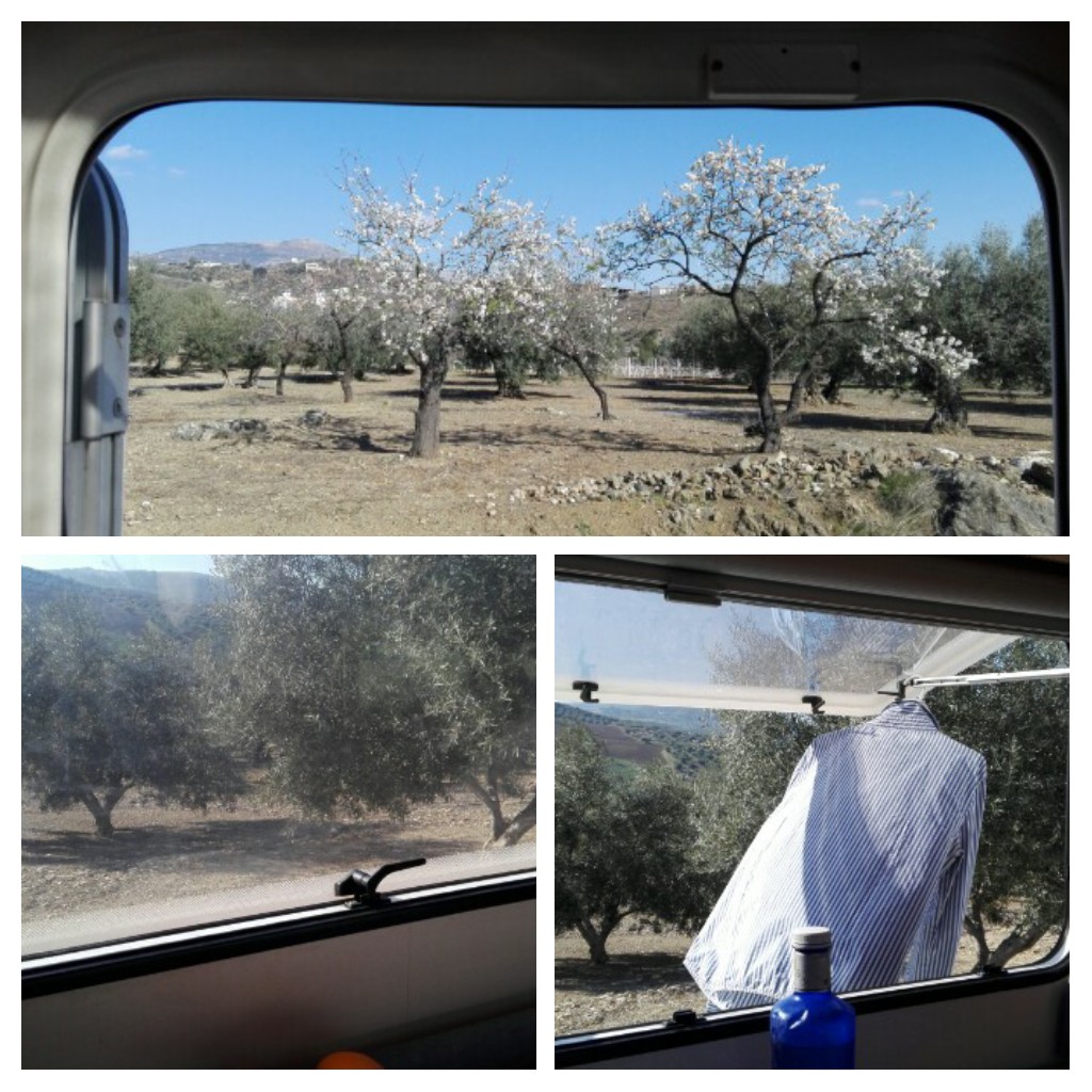 20170129_192829-collage