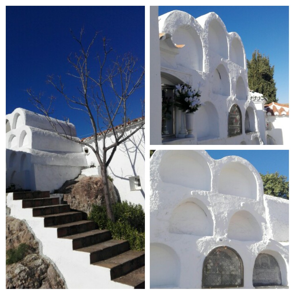 20170129_221943-collage