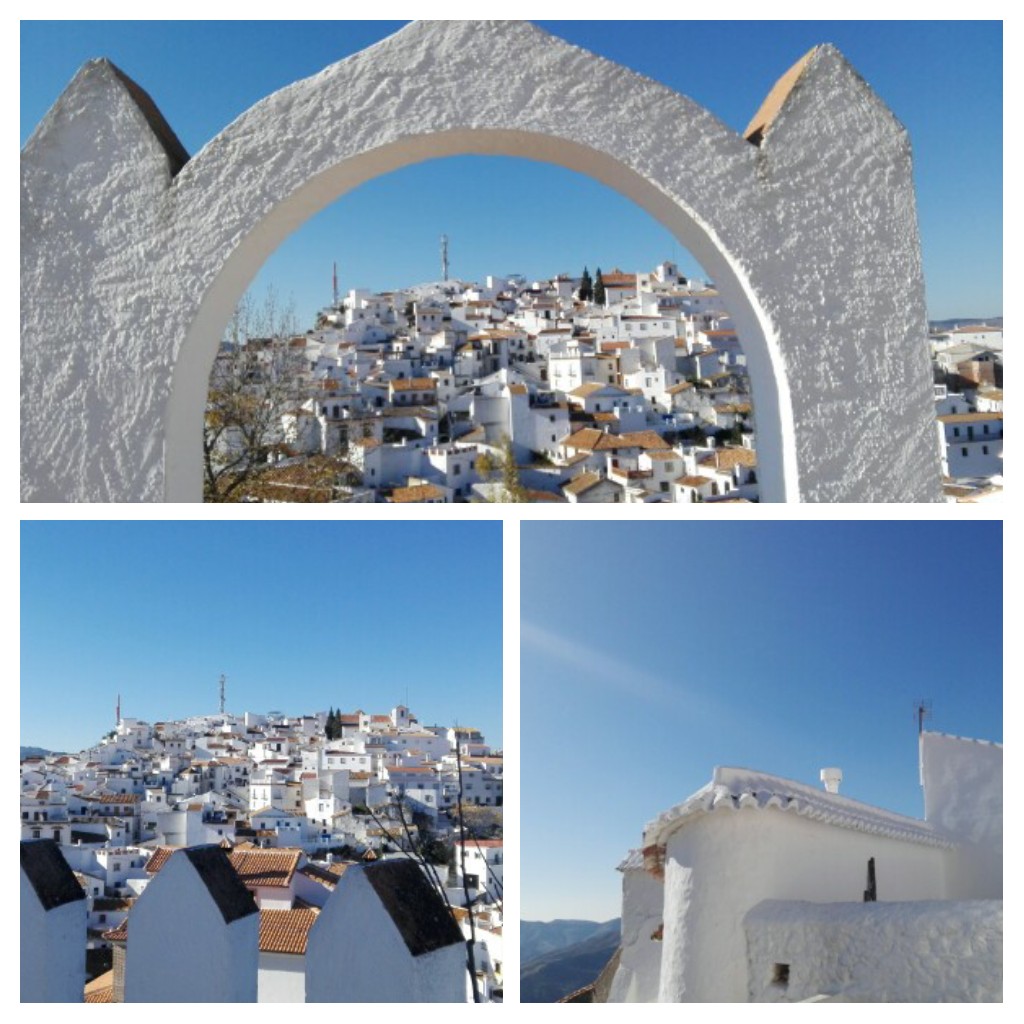 20170129_222358-collage