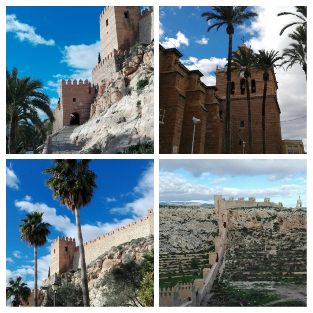 20170202_175034-collage1