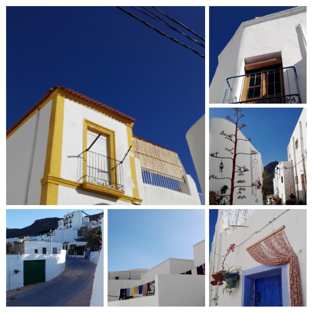 20170202_191145-collage